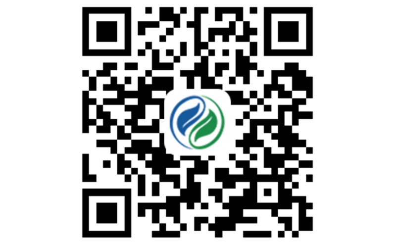 中能锂电科技泰州有限公司 - 台州网站建设